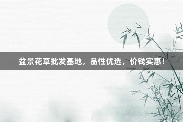 盆景花草批发基地，品性优选，价钱实惠！